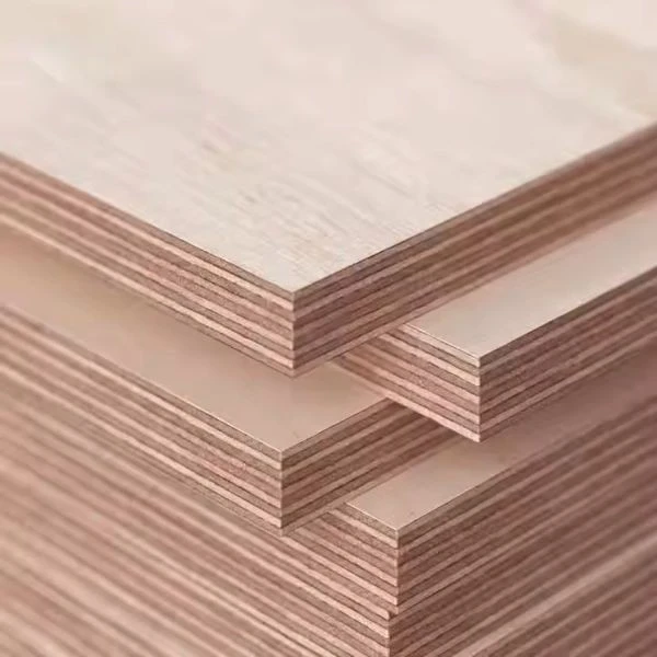 Okoume Core Plywood Close-Up